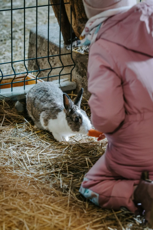 Bio farm park - Hlavná galéria