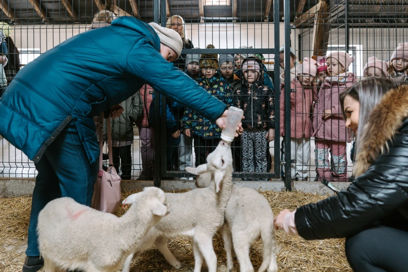 Bio farm park - Hlavná galéria