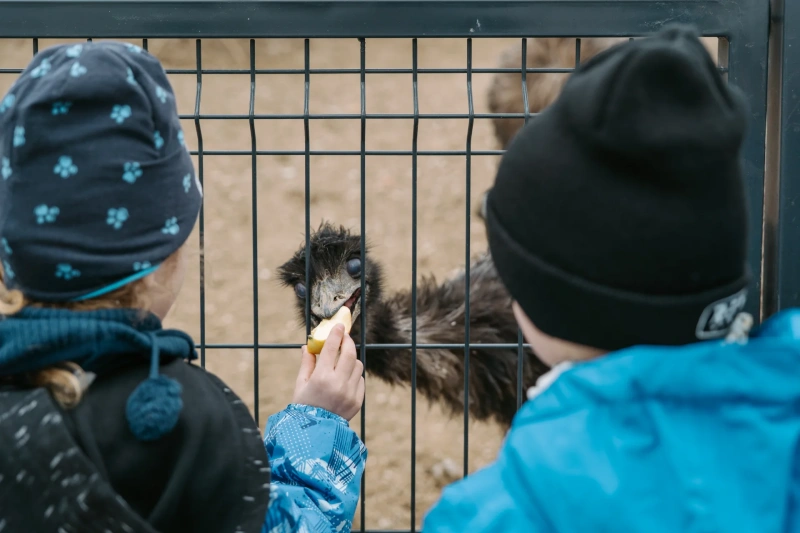 Bio farm park - Hlavná galéria