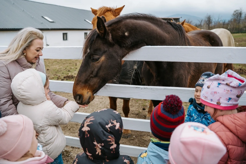 Bio farm park - Hlavná galéria