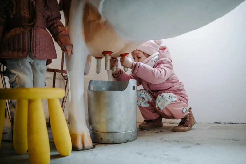 Bio farm park - Hlavná galéria