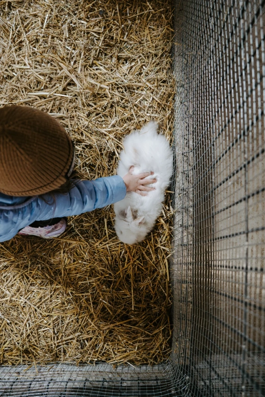 Bio farm park - Hlavná galéria
