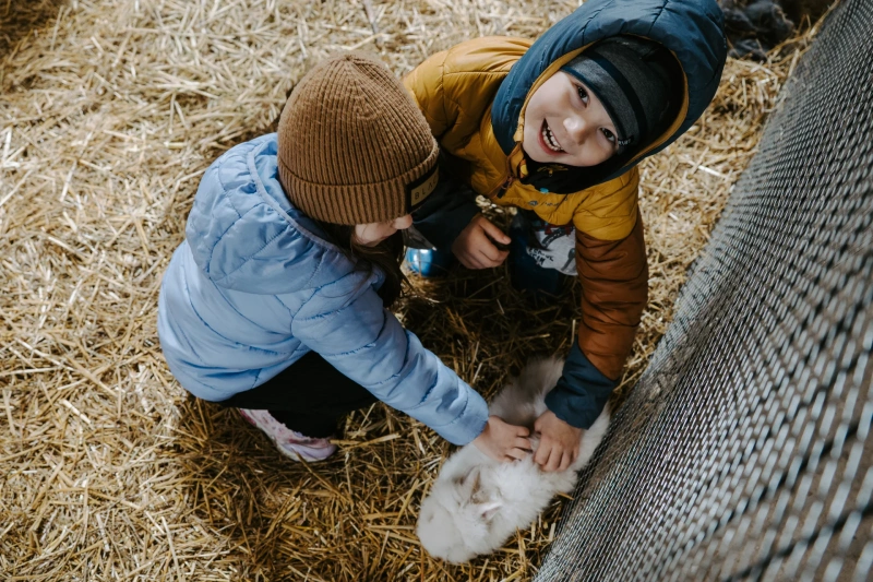 Bio farm park - Hlavná galéria
