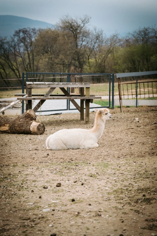 Bio farm park - Hlavná galéria