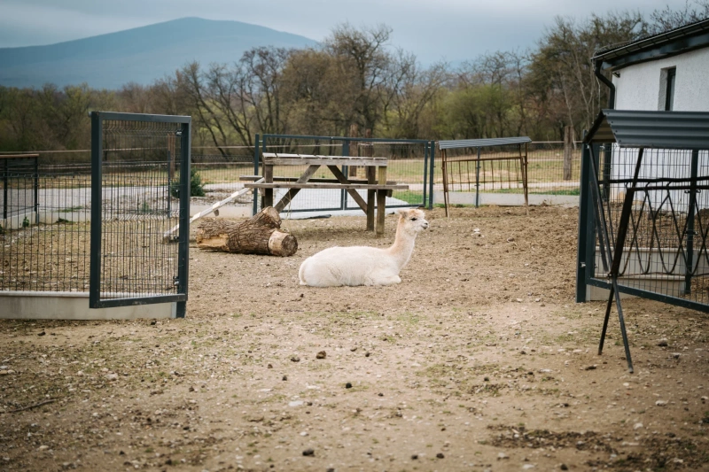 Bio farm park - Hlavná galéria