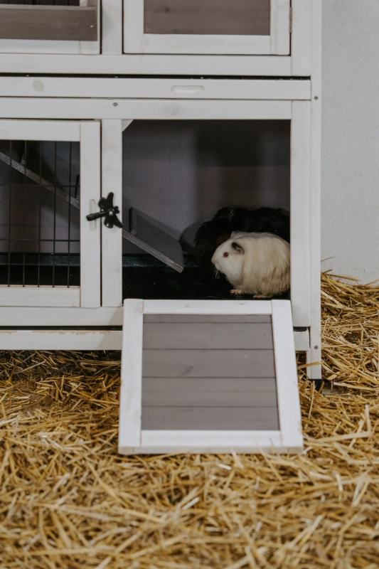 Bio farm park - Hlavná galéria