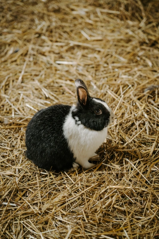 Bio farm park - Hlavná galéria